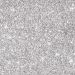 Powder Glitter Shine 1-40-SILVER