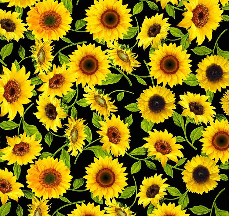 Sunflowers On Black Sunflowers On Black