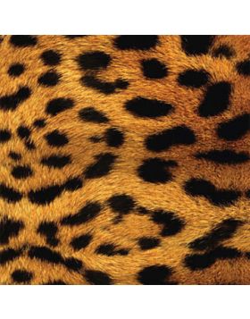 Leopard Imitation Vinyl