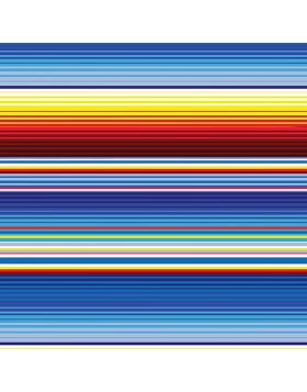 Serape Autism Vinyl