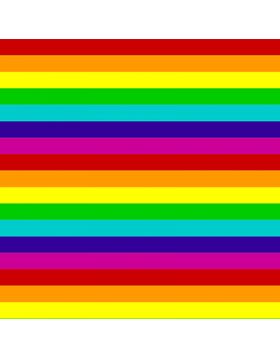 Rainbow Flag Vinyl