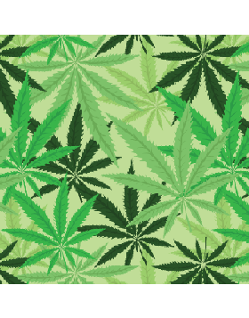 Cannabis-Drug