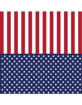 American Flag Sign Vinyl