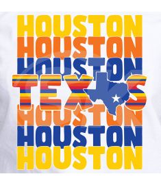 DTF-104 Houston Texas flag Baseball 9.5 X 10.5 INCHES