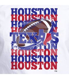 DTF-106 Houston Texas Flag 9 x 10 inches