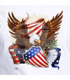 DTF-139 American Eagle Shield 10 x 10 Inches