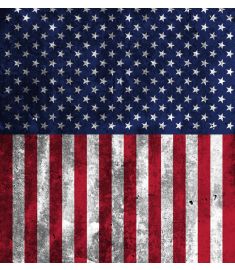 American Flag Dirty Vinyl