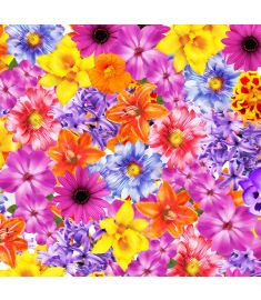 Mix Flowers Vinyl