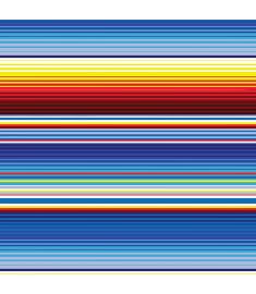 Serape Autism Vinyl