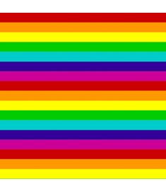 Rainbow Flag Vinyl