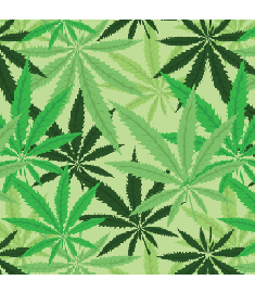 Cannabis-Drug